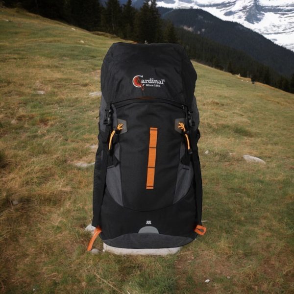 Σακίδιο πεζοπορίας αδιάβροχο Daypack Cardinal 50L 790 μαύρο - Image 2