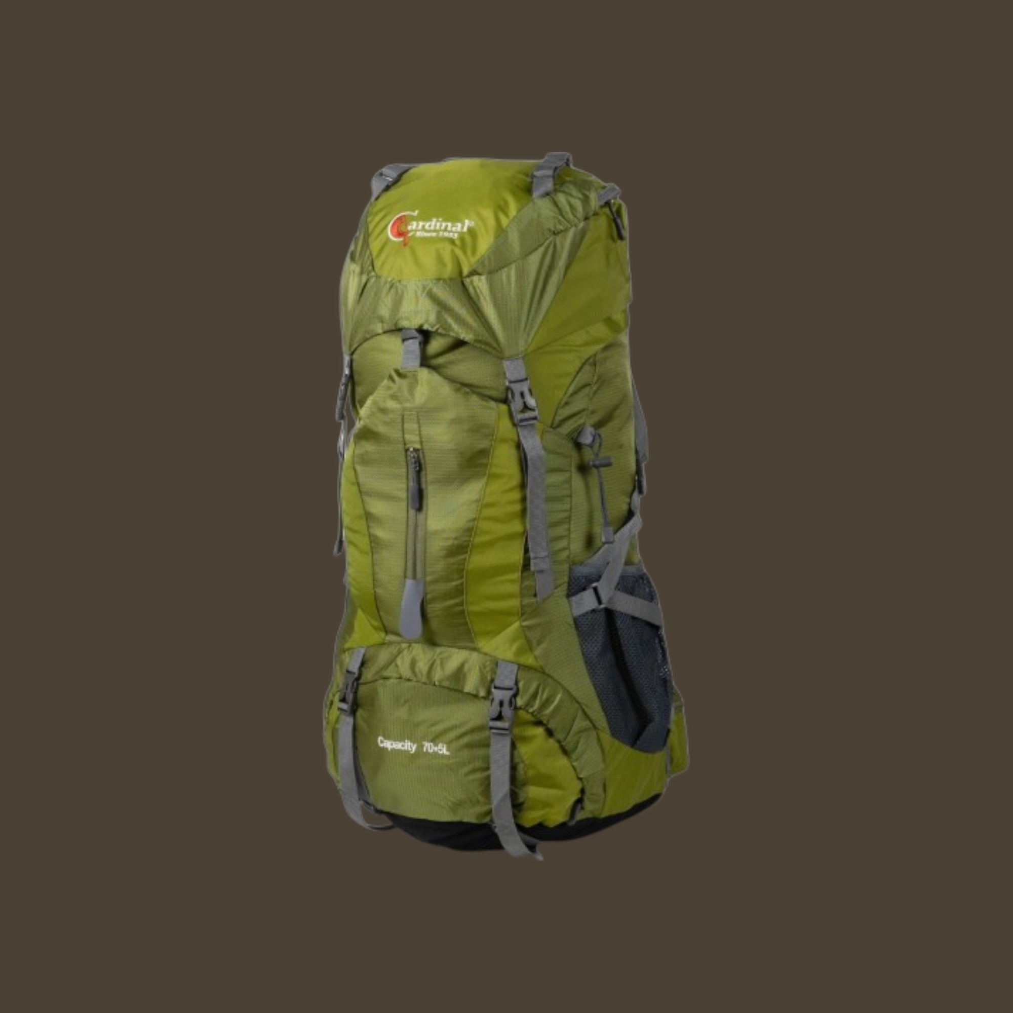Cardinal 1788 Ορειβατικό Σακίδιο Πλάτης 70+5L Πράσινο