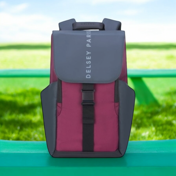 Delsey Σακίδιο πλάτης για laptop 15.6 - Image 2