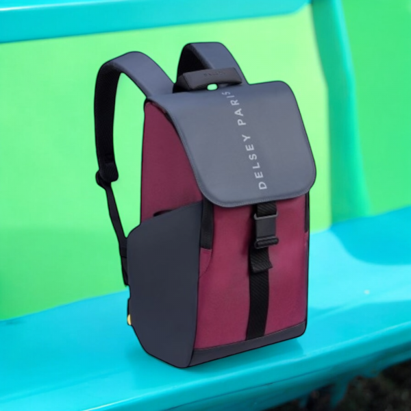Delsey Σακίδιο πλάτης για laptop 15.6 - Image 3