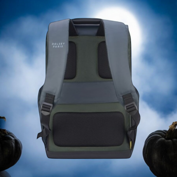 Delsey Σακίδιο πλάτης για laptop 15.6" Securflap Army - Image 9