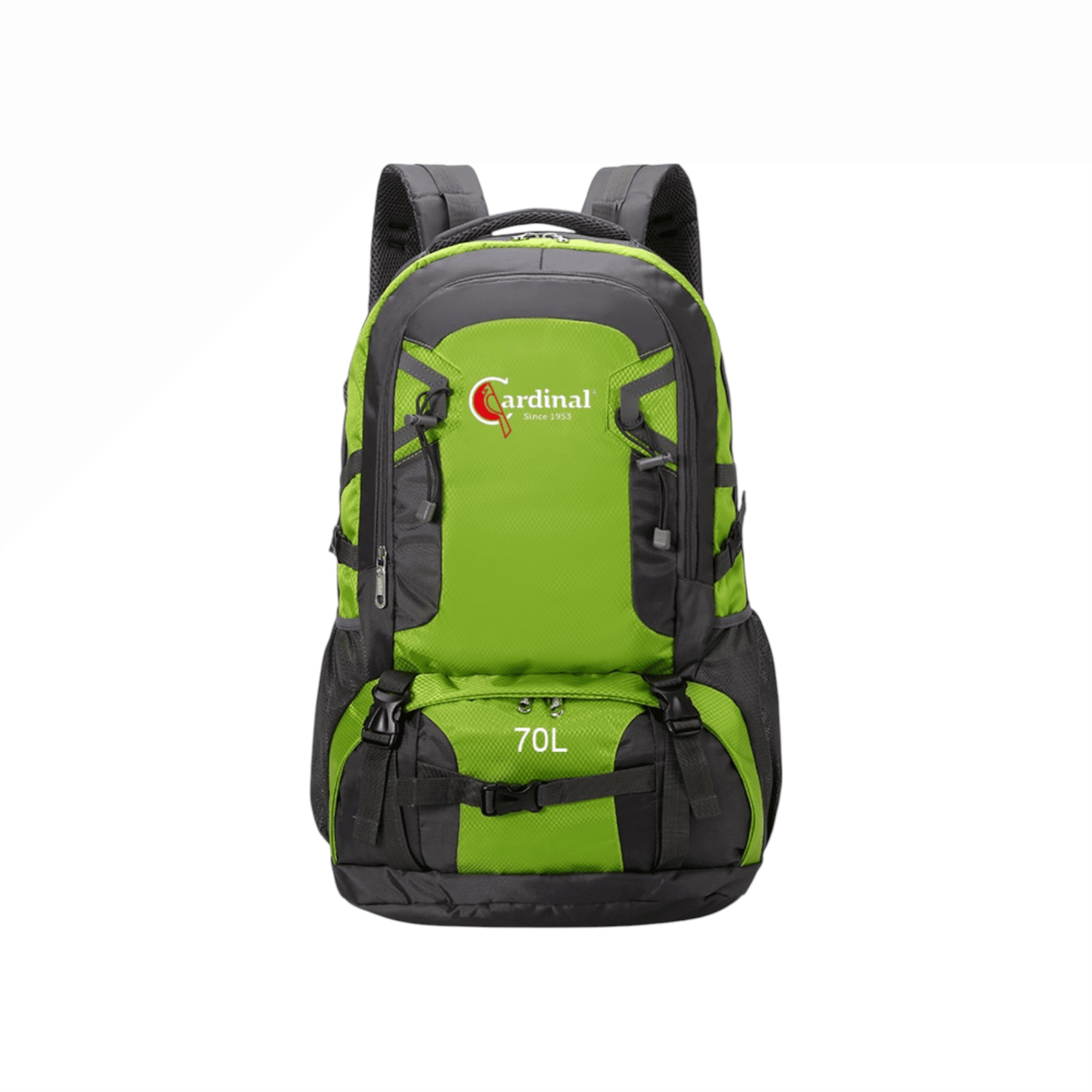 Σακίδιο πλάτης ορειβατικό Ταξιδιού Cardinal 856 70L πράσινο