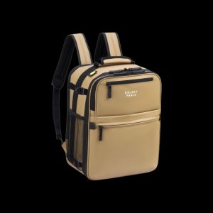 Delsey Maubert Σακίδιο Πλάτης Ταξιδιού 24lt Beige