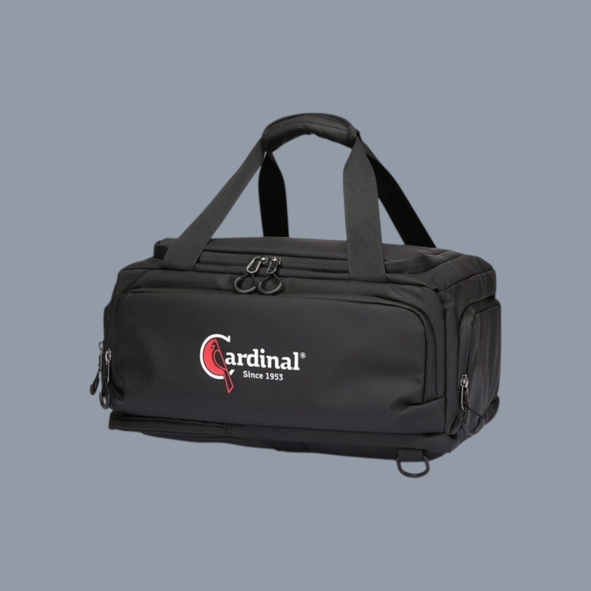 Cardinal 8311 Σακίδιο Ταξιδιού 40x30x20cm Μαύρο