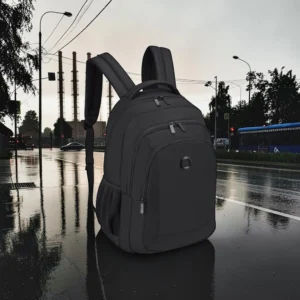 Delsey Element 2.0 Σακίδιο Laptop 15.6″ Μαύρο