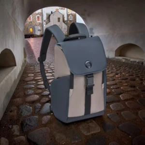 Delsey Securflap Σακίδιο Πλάτης Laptop 15.6″ 22L Καφέ